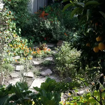 Beautiful, Historic Family Home Near Lake Merritt Oakland Exterior foto